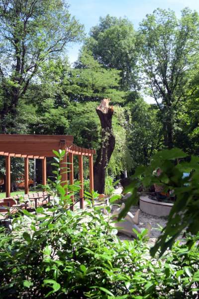 Wielkie sprzątanie po sobotniej nawałnicy, fot. Marek Lasyk - zdjęcie 14