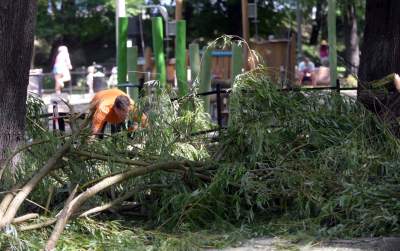 Wielkie sprzątanie po sobotniej nawałnicy, fot. Marek Lasyk - zdjęcie 5