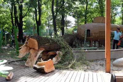 Wielkie sprzątanie po sobotniej nawałnicy, fot. Marek Lasyk - zdjęcie 13