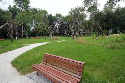 Park Duchacki: kolejny uroczy, zielony zakątek w Krakowie - zdjęcie 16