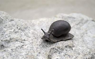 Park Duchacki: kolejny uroczy, zielony zakątek w Krakowie - zdjęcie 10