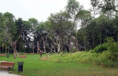 Park Duchacki: kolejny uroczy, zielony zakątek w Krakowie - zdjęcie 14