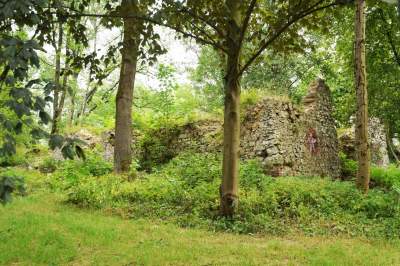 Park Duchacki: kolejny uroczy, zielony zakątek w Krakowie - zdjęcie 15