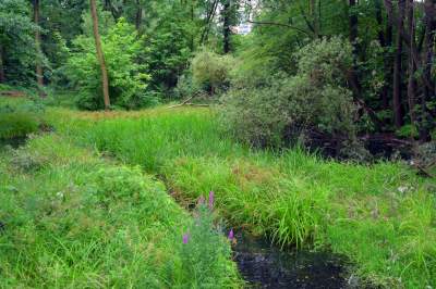 Park Duchacki: kolejny uroczy, zielony zakątek w Krakowie - zdjęcie 5