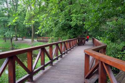 Park Duchacki: kolejny uroczy, zielony zakątek w Krakowie - zdjęcie 4