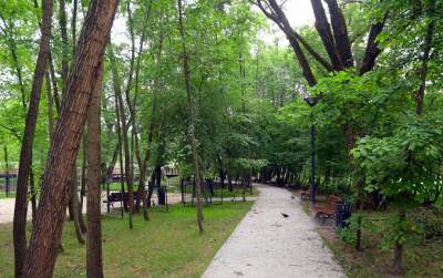 Park Duchacki: kolejny uroczy, zielony zakątek w Krakowie - zdjęcie 8