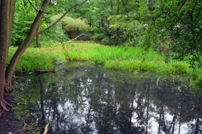 Park Duchacki: kolejny uroczy, zielony zakątek w Krakowie - zdjęcie 6