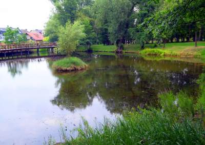 Park Duchacki: kolejny uroczy, zielony zakątek w Krakowie - zdjęcie 7