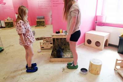 Pierwsza w Polsce królicza kawiarnia przyciąga tłumy - zdjęcie 9