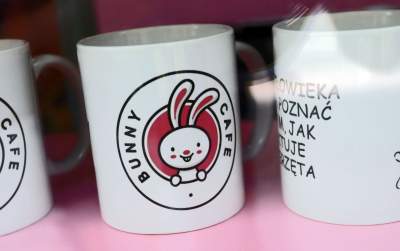 Pierwsza w Polsce królicza kawiarnia przyciąga tłumy - zdjęcie 28