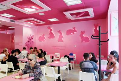 Pierwsza w Polsce królicza kawiarnia przyciąga tłumy - zdjęcie 1