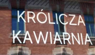 Pierwsza w Polsce królicza kawiarnia przyciąga tłumy - zdjęcie 27