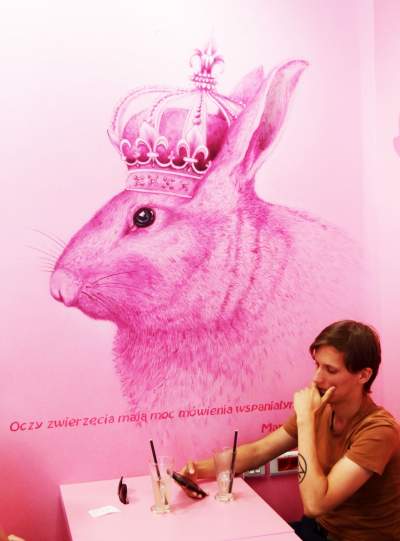 Pierwsza w Polsce królicza kawiarnia przyciąga tłumy - zdjęcie 4