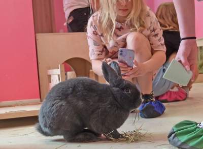 Pierwsza w Polsce królicza kawiarnia przyciąga tłumy - zdjęcie 19