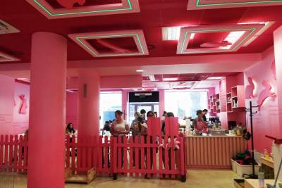 Pierwsza w Polsce królicza kawiarnia przyciąga tłumy - zdjęcie 13