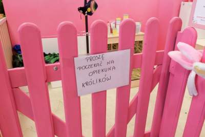 Pierwsza w Polsce królicza kawiarnia przyciąga tłumy - zdjęcie 2