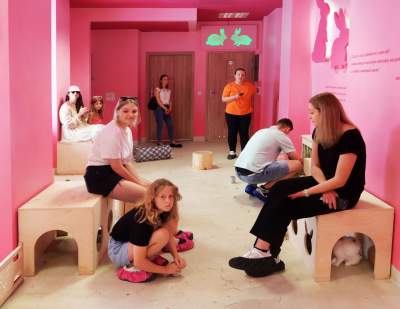 Pierwsza w Polsce królicza kawiarnia przyciąga tłumy - zdjęcie 3