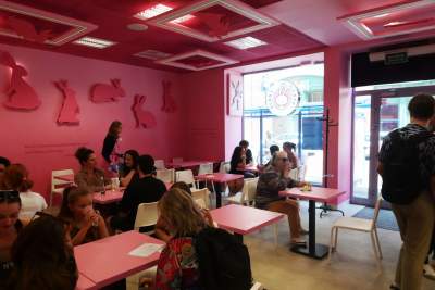 Pierwsza w Polsce królicza kawiarnia przyciąga tłumy - zdjęcie 5