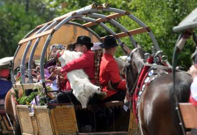 Jedyna taka parada w Polsce. Jeden z najsympatyczniejszych festiwali folkloru - zdjęcie 14