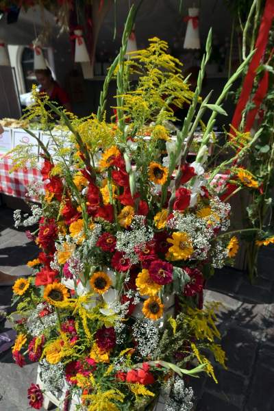 Jeść, czy robić zdjęcia? Festiwalowe pierogi po 4 zł za sztukę... - zdjęcie 27