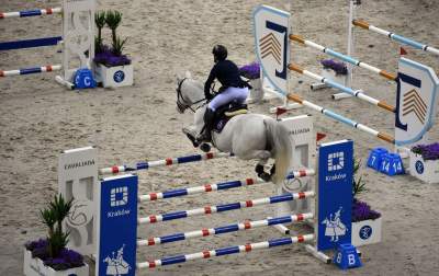 Tutaj koni do tej pory nie widzieli. Było pięknie! - zdjęcie 10