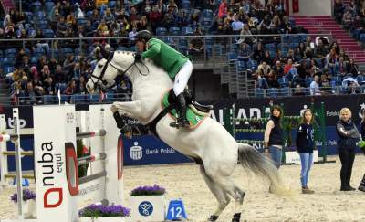 Tutaj koni do tej pory nie widzieli. Było pięknie! - zdjęcie 25