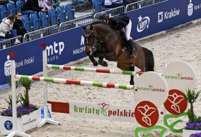 Tutaj koni do tej pory nie widzieli. Było pięknie! - zdjęcie 13