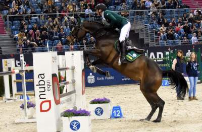 Tutaj koni do tej pory nie widzieli. Było pięknie! - zdjęcie 27