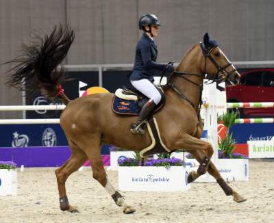 Tutaj koni do tej pory nie widzieli. Było pięknie! - zdjęcie 3