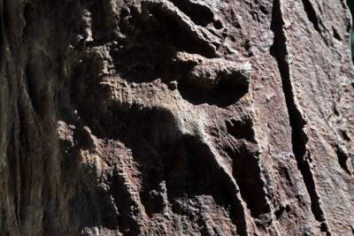 Wyjątkowy pokaz rzeźb Magdaleny Abakanowicz. "Postacie kroczące" - zdjęcie 12