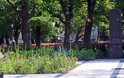 Gościu, siądź na tej ławce, a odpocznij sobie. Plac Axentowicza po remoncie - zdjęcie 20