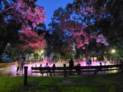 Gościu, siądź na tej ławce, a odpocznij sobie. Plac Axentowicza po remoncie - zdjęcie 31