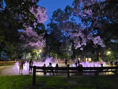 Gościu, siądź na tej ławce, a odpocznij sobie. Plac Axentowicza po remoncie - zdjęcie 30