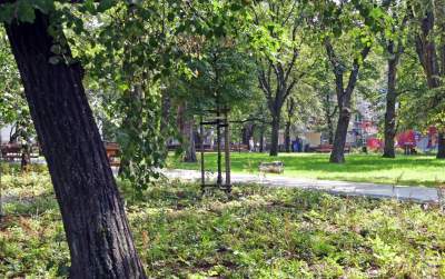 Gościu, siądź na tej ławce, a odpocznij sobie. Plac Axentowicza po remoncie - zdjęcie 14