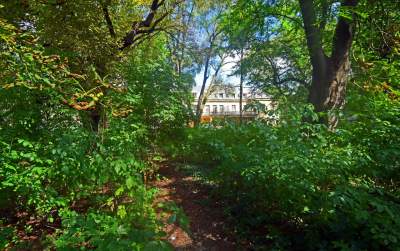 Park Jalu Kurka: przyroda „wzięła sprawy w swoje ręce” - zdjęcie 2