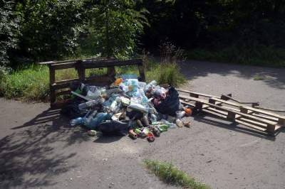 Park Jalu Kurka: przyroda „wzięła sprawy w swoje ręce” - zdjęcie 33