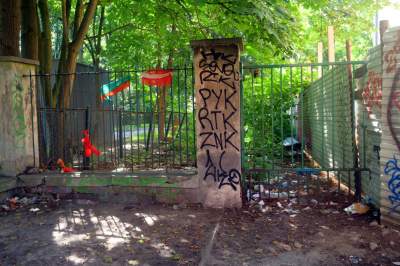 Park Jalu Kurka: przyroda „wzięła sprawy w swoje ręce” - zdjęcie 34