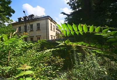 Park Jalu Kurka: przyroda „wzięła sprawy w swoje ręce” - zdjęcie 27