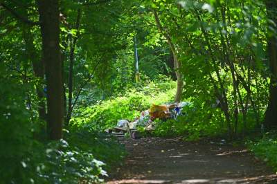 Park Jalu Kurka: przyroda „wzięła sprawy w swoje ręce” - zdjęcie 29