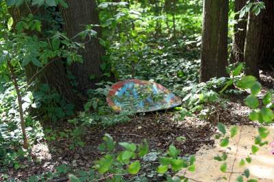 Park Jalu Kurka: przyroda „wzięła sprawy w swoje ręce” - zdjęcie 28