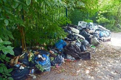 Park Jalu Kurka: przyroda „wzięła sprawy w swoje ręce” - zdjęcie 32