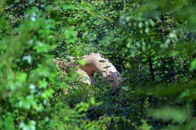 Park Jalu Kurka: przyroda „wzięła sprawy w swoje ręce” - zdjęcie 19