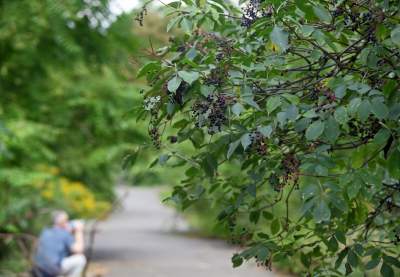 Park Jalu Kurka: przyroda „wzięła sprawy w swoje ręce” - zdjęcie 20