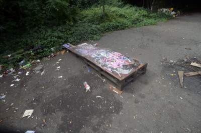 Park Jalu Kurka: przyroda „wzięła sprawy w swoje ręce” - zdjęcie 31