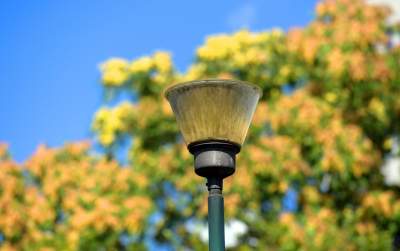 Park Jalu Kurka: przyroda „wzięła sprawy w swoje ręce” - zdjęcie 23