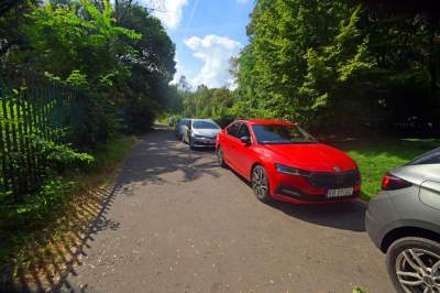 Park Jalu Kurka: przyroda „wzięła sprawy w swoje ręce” - zdjęcie 36