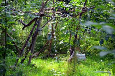 Park Jalu Kurka: przyroda „wzięła sprawy w swoje ręce” - zdjęcie 5