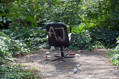 Park Jalu Kurka: przyroda „wzięła sprawy w swoje ręce” - zdjęcie 22