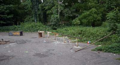 Park Jalu Kurka: przyroda „wzięła sprawy w swoje ręce” - zdjęcie 30