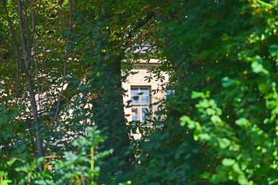 Park Jalu Kurka: przyroda „wzięła sprawy w swoje ręce” - zdjęcie 24